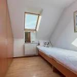 Pool Villa Prleski Raj Krizevci pri Ljutomeru