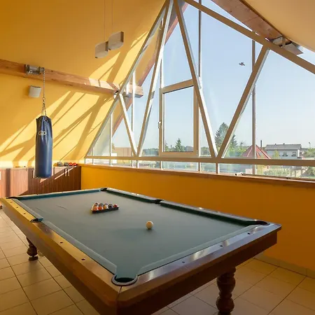 Pool Villa Izabela With Wellness Križevci pri Ljutomeru
